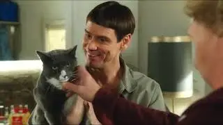 Butthole - Dumb And Dumber To. Remastered [HD]