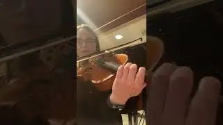 P.S. I actually do love playing viola 🎻 ❤️