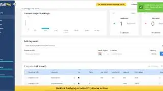 Long Tail Rank Tracker Demo