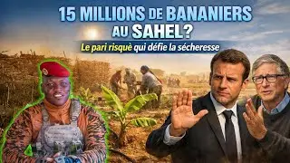 Ibrahim Traor&eacute; face au monde : 15 millions de bananiers dans le Sahel, mission impossible ?