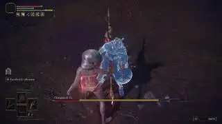 Elden Ring : Fia's Champions Boss Fight (RL1 / No Damage / No Parry)
