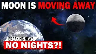 101 Facts About Anything and Everything |  Part 4