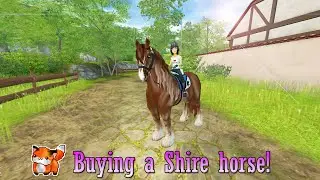 Buying a SHIRE horse ♡ Star Stable