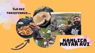 Kanlıca Mantar Avı, Kanlıcaya Doyduk...