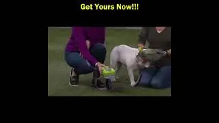 Pooper Scooper With Bag Attached