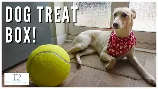 Dog treats and toy box unboxing from Teddys PawPet Goods!
