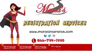 DMV Services and Vehicle Registration by Mona's