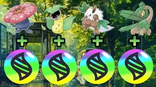 All Generation Grass Type Pok&eacute;mon Mega Evolution Line Drawing : pt-1 : Pok&eacute;mon 