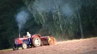 Hubi sieje bo zimą wieje II MafiaSolec