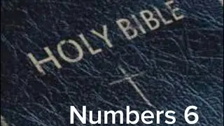 Numbers 6 (NIV) The Audio Bible