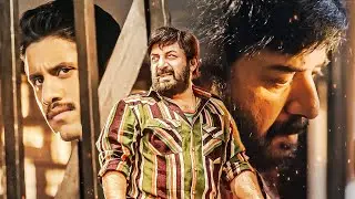 Happy Birthday Arvind Swamy | Custody Best Action Scenes | Naga Chaitanya Top 10 Fight Scenes