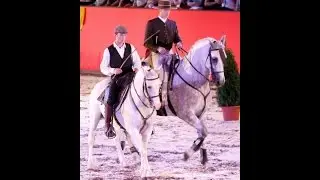 Marbach Classics 2015 - Working Equitation