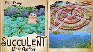 🌿 Tayao Gardens Atok | Cactus Wonderland in the Mountains of Benguet!