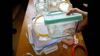 SnapWare Pyrex Storage Containers Review