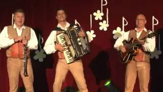 Ansambel Pajdaši - Štajerski fant