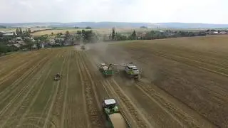 DJI 0294