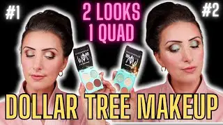 Dollar Tree Makeup Tutorial  || 2 LOOKS 1 PALETTE || La Colors Elf DUPE Quad || New $1.25 Makeup