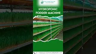 What is a Hydroponic Fodder Machine?