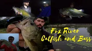Fox River Night Fishing Channel Catfish And top water Fishing for Largemouth Bass Illinois Fishing