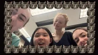Week of 1/12: School, Hunger Games, Cat