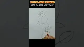 Beautiful flower drawing || howtodraw rose flower #shortvideo #shorts #drawing #roseflower #ytreels