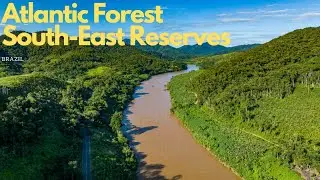 Exploring the Atlantic Forest South-East Reserves of Brazil