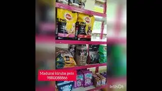 Madurai kiruba pets (best pest shop in madurai)pet foods, accessories, puppies, percian cats,