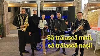 🔥Formatie Italia 2024 live🔥 Roxana Olaru Si Formatia Elit 3804322660