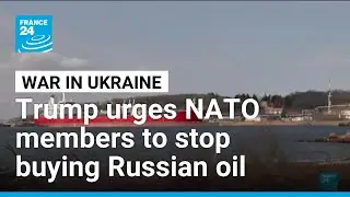 Trump calls on NATO members to stop purchasing Russian oil &bull; FRANCE 24 English