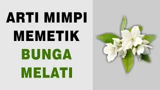 Arti Mimpi Memetik Bunga Melati