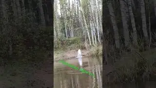 Металлокоп2023#река
