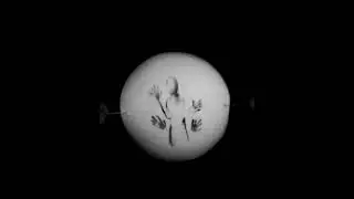 Taumatropo - Juguete filos&oacute;fico. Realizado para la materia Arte y Tecnolog&iacute;a II.