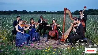Armonías Profundas En Dúos De Cuerdas Y Piano Un Encuentro Íntimo De Romance Y Serenidad Clásica