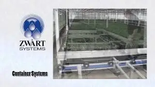 Container Systems Q1