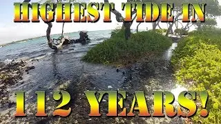 Highest Tide in 112 Years! The King&rsquo;s Tide In Hawaii - Fishing The King's Tide - B.O.D.S. 31