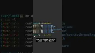 Beautify your terminal with this command #terminal #developer