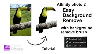 Removing Background from Images with Affinity Photo 2's Background Erase Tool Tutorial in Telugu