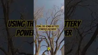 It's almost like cheating Ronin battery powered ascender arborist tree climber #climbing
