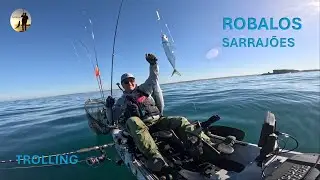 Robalos e sarrajões ao trolling no Oeste