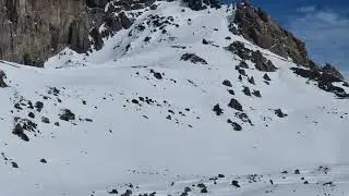 Attaque de loup