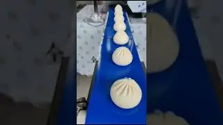 Fully Automatic Momos Making Machine