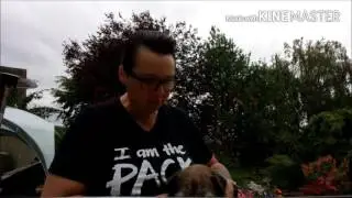 Dog Park Rules