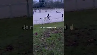 #cavaliere #horse #equitation #equestrian #cheval #pony #poney #cso