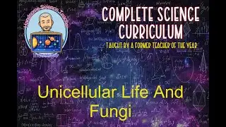 Unicellular Life And Fungi