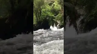 Okere Falls | Kaituna River | Rotorua Family Adventure | Outdoor Kid