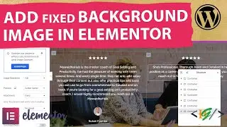 How to Add Fixed Background Image in Elementor WordPress