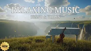 Forest Morning &ndash; Piano & Violin Music for Mind Relaxation