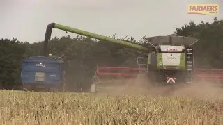 Harvest 2017: Early oilseed rape yields better than expected in Kent