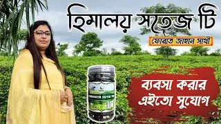 আমাদের বাগান থেকে চা নিয়ে ব্যবসা করুন। Green Tea & Black Tea || Himalaya Sotej Tea
