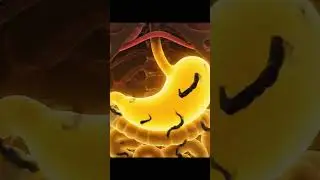 What Happens Inside Your Body After Eating a Banana #healthtips #digestiveprocess #animation #health